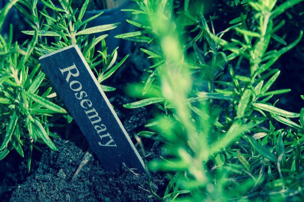 Room2 London Hammersmith Townhouse Exterior foto